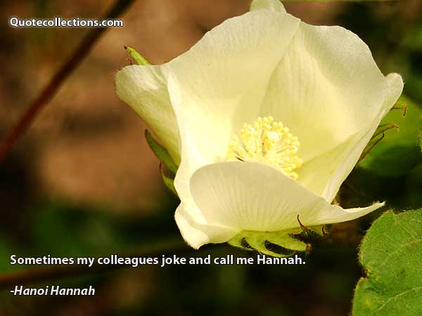 Hanoi Hannah Quotes3